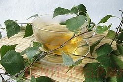 народные средства от галитоза - чай из березовых листьев