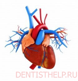 нарушения сердечно-сосудистой системы - одно из противопоказаний к резекции корня